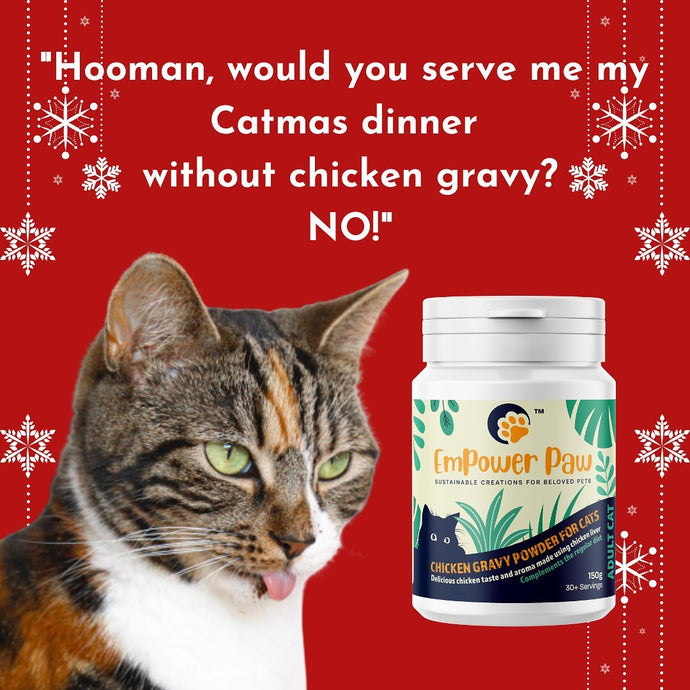 Get your beloved cat a scrumptious gift this Catmas, chicken gravy!